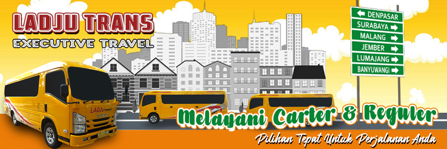 LADJU Trans - Executive Travel